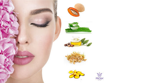 Componentes de Nuestros Productos