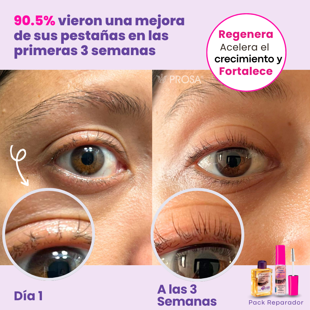 BOX PREMIUM PROSA
